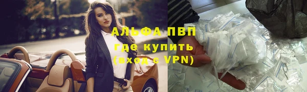 трава Абаза