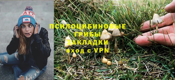 2c-b Алзамай