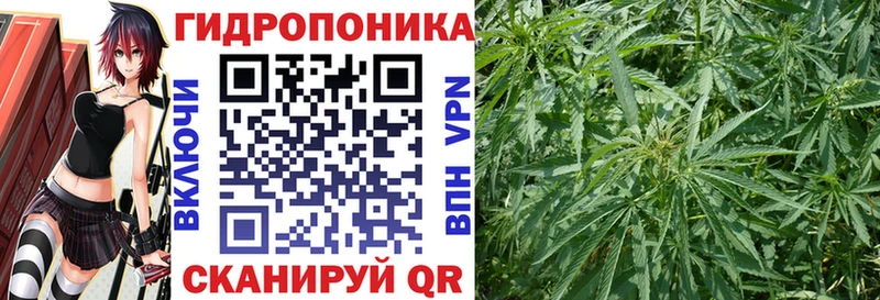 где купить   Харабали  Каннабис тримм 